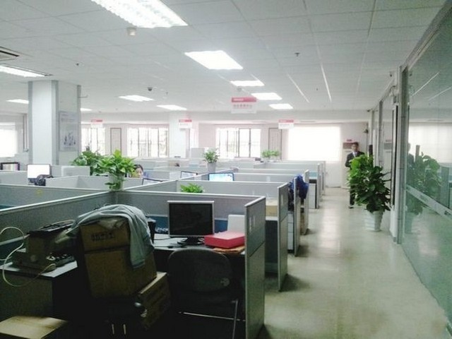 四川开体花兰性能