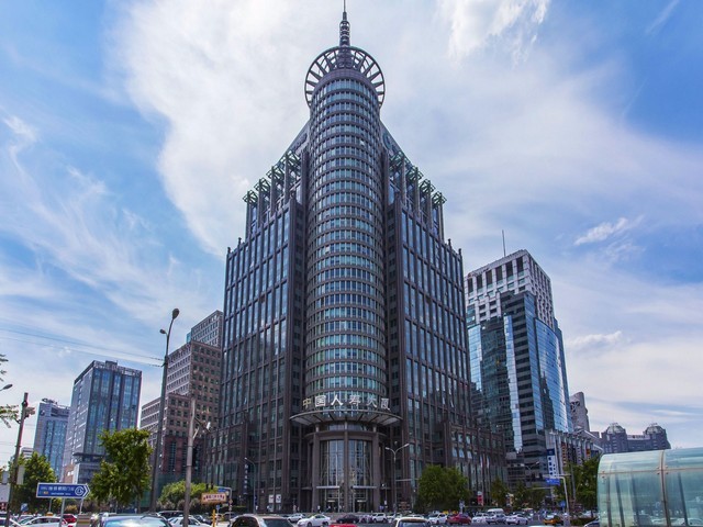 浙江红叶李苗木销售服务价钱